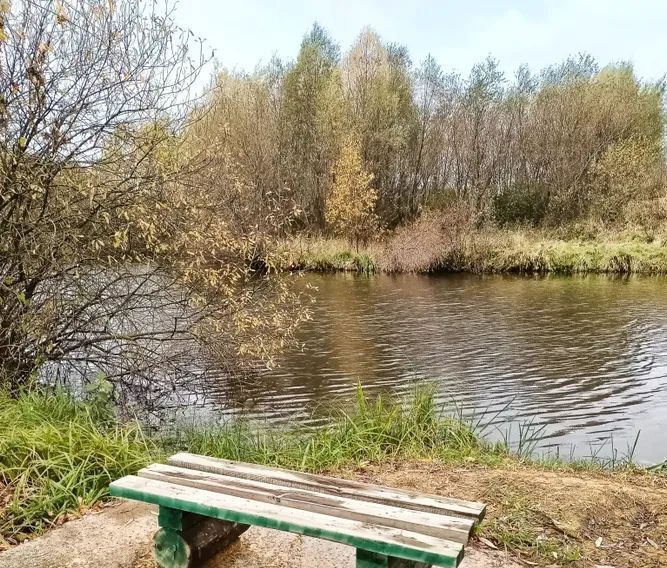 дом городской округ Ленинский с Остров ул. Верхняя Слобода, 6 фото 23