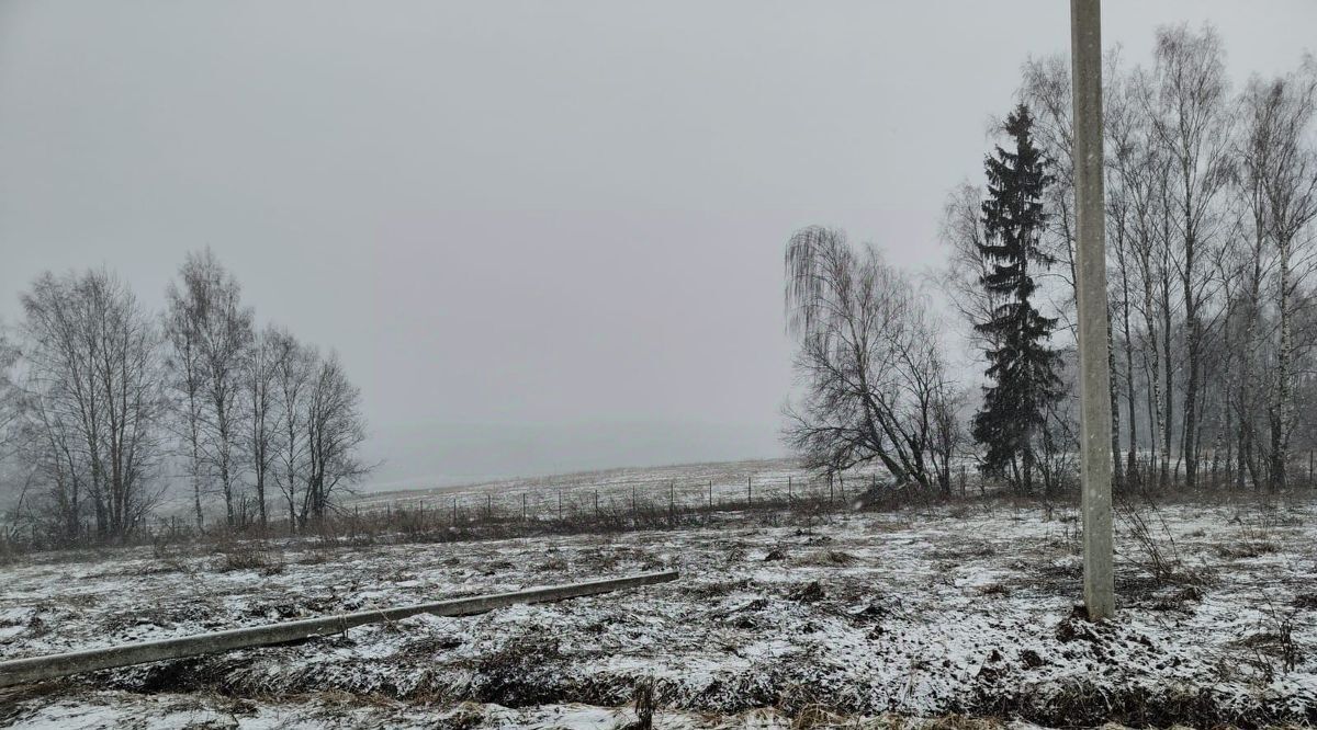 земля городской округ Истра д Карцево снт Матвейково 1, городской округ Истра, Глебовский фото 6