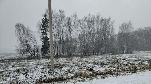 снт Матвейково 1, городской округ Истра, Глебовский фото