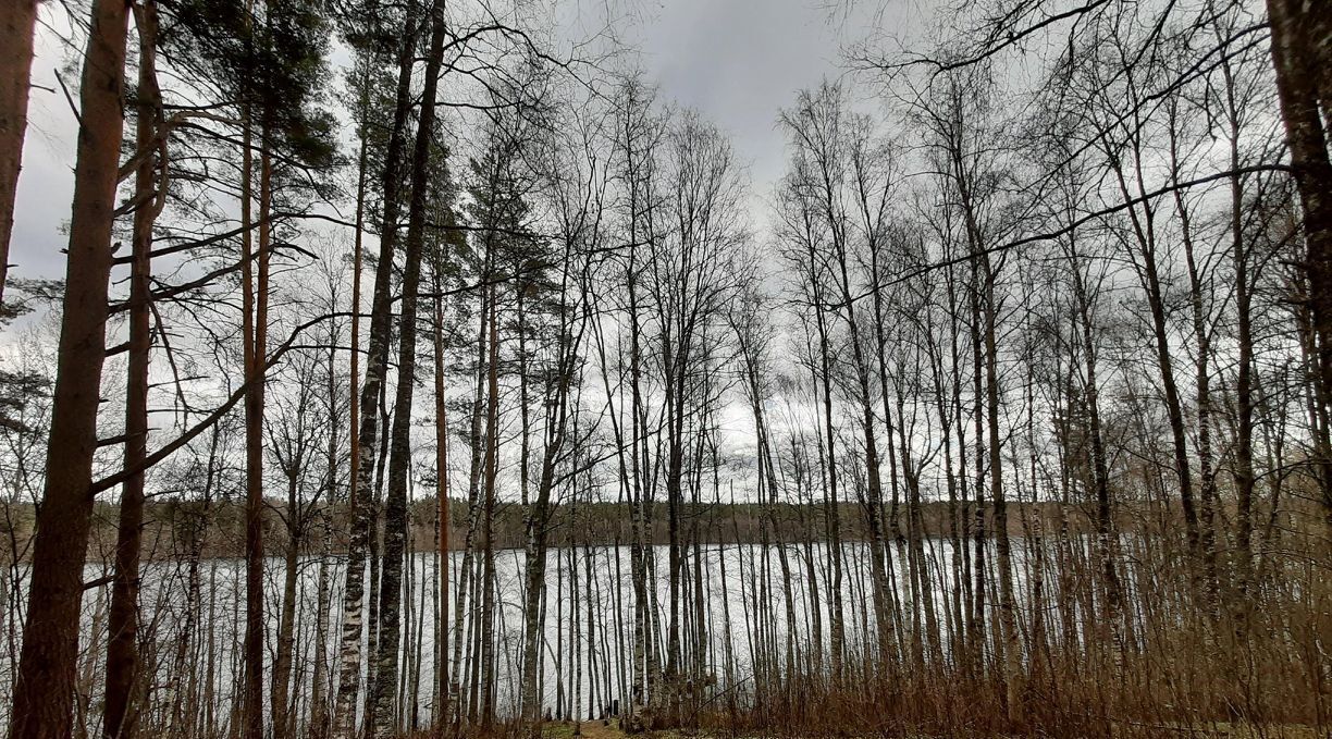 земля р-н Выборгский п Красносельское фото 3