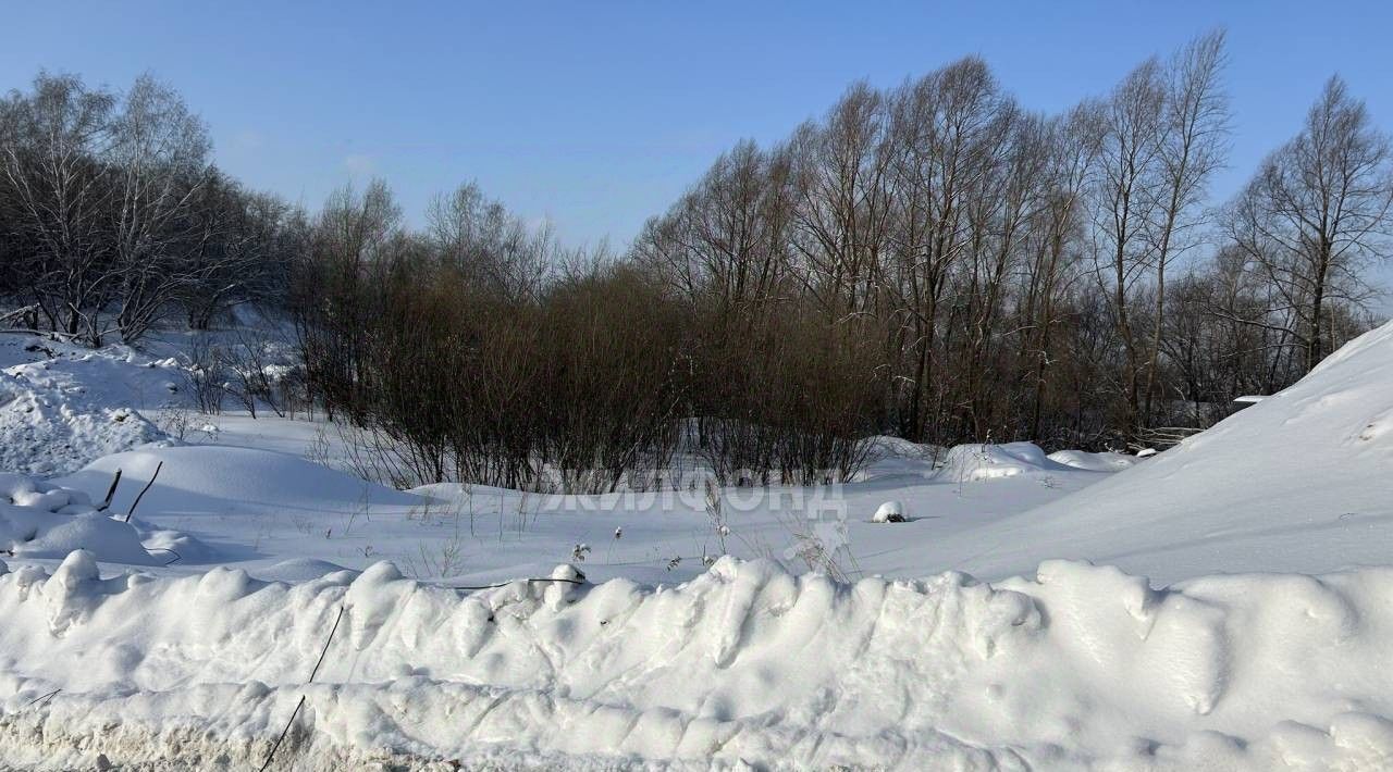 земля г Новосибирск р-н Калининский Заельцовская ул Объединения 9к/5 фото 3