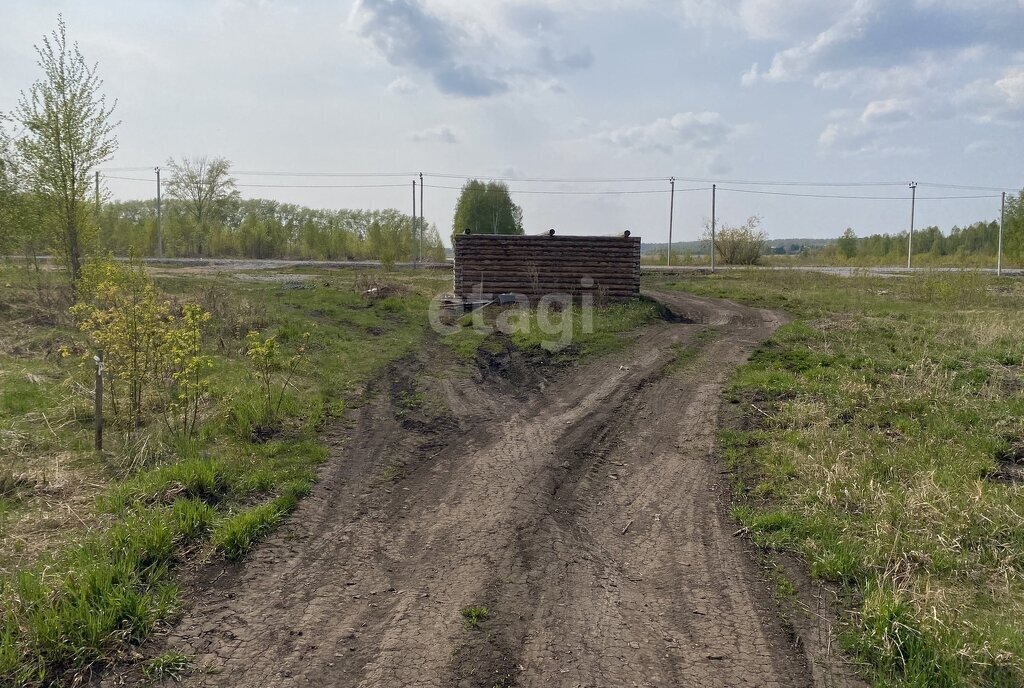 земля р-н Ишимский п Плодопитомник ул Еловая фото 2