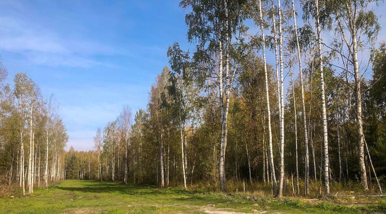 земля р-н Рыбинский д Ясенево с пос, ул. Тенистая, Глебовское, Коприно кп фото 3