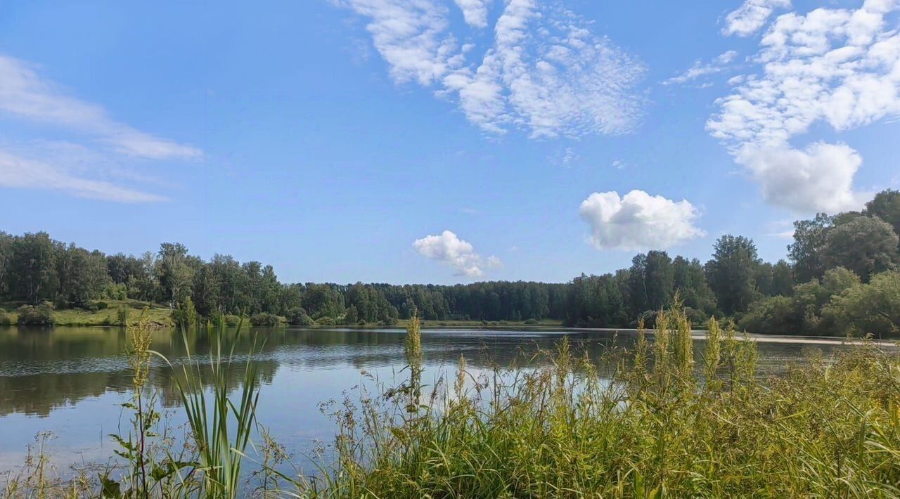 земля р-н Тогучинский п Боровушка снт Лукоморье фото 3