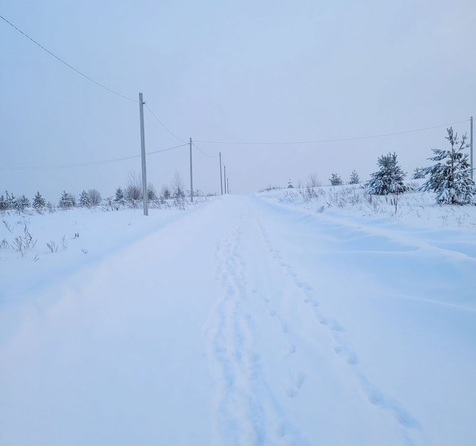 земля р-н Пермский д Большакино ул 3-я Загородная Култаево фото 6