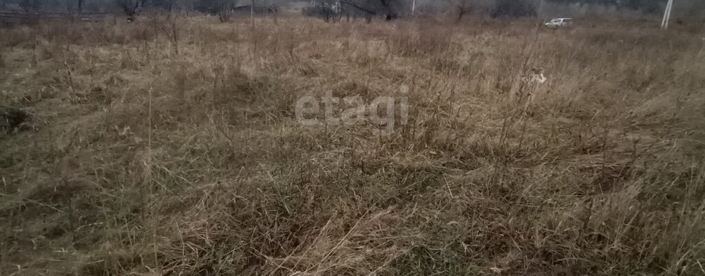 земля р-н Алтайский с Ая Айский сельсовет фото 2