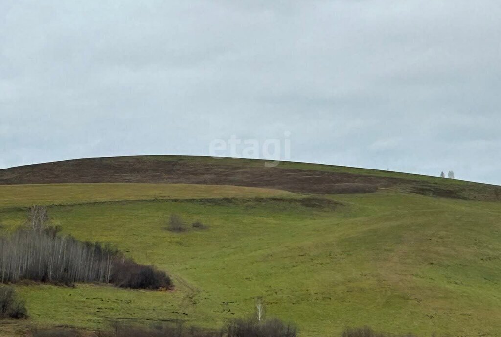 земля р-н Алтайский с Ая ул Куйбышева Айский сельсовет фото 3