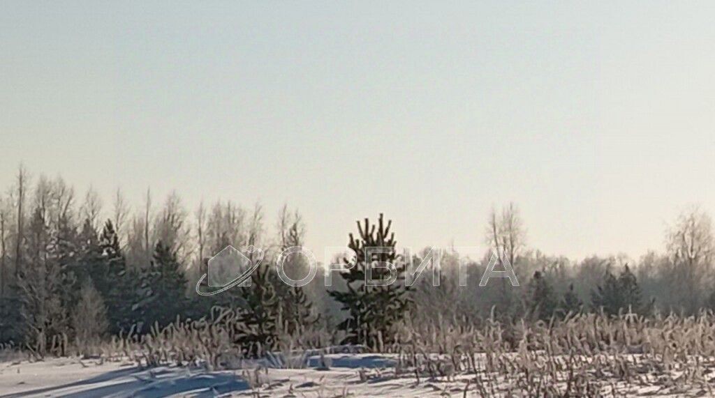 земля р-н Нижнетавдинский д Штакульская фото 2