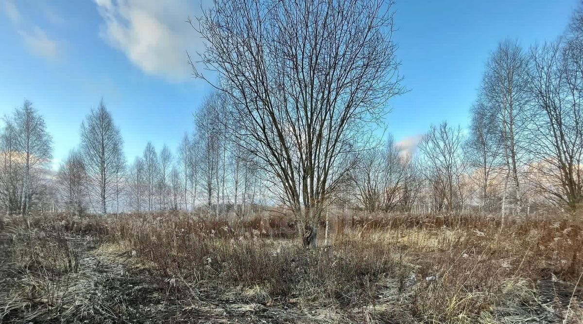 земля Тула городской округ, пос. Рассвет фото 1