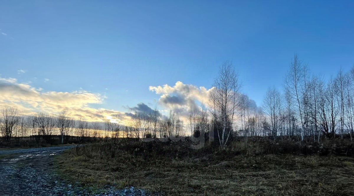 земля Тула городской округ, пос. Рассвет фото 6