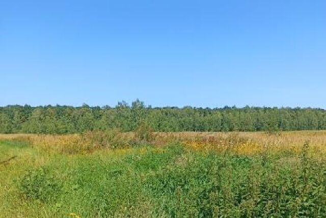 городской округ Луховицы д Чуприково фото