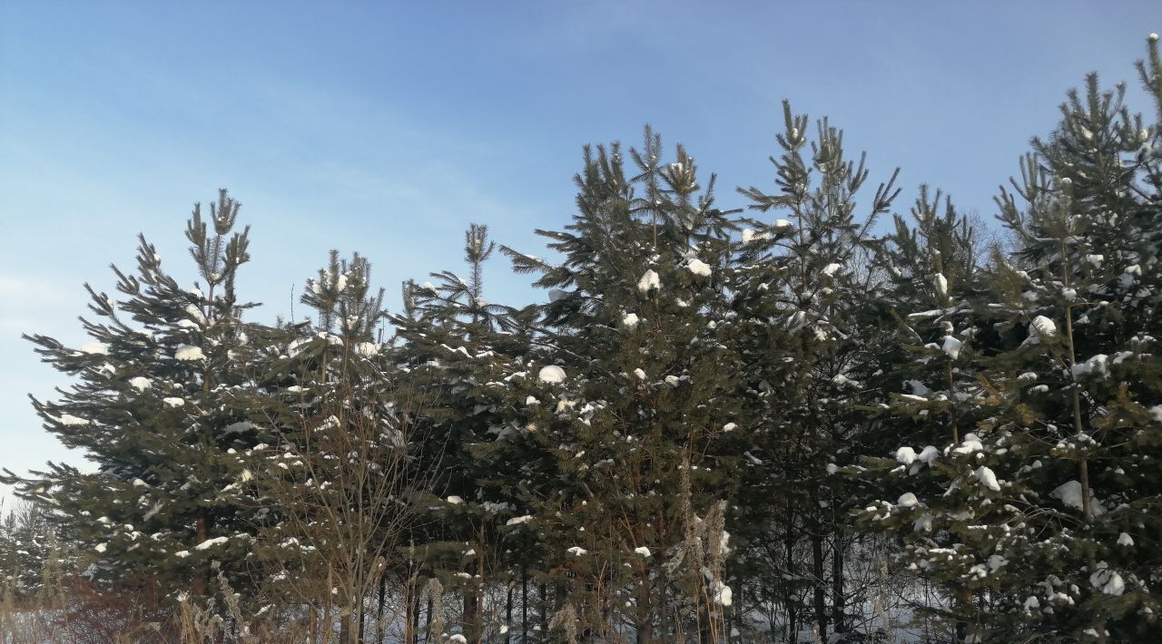 земля г Краснокамск д Хухрята фото 2