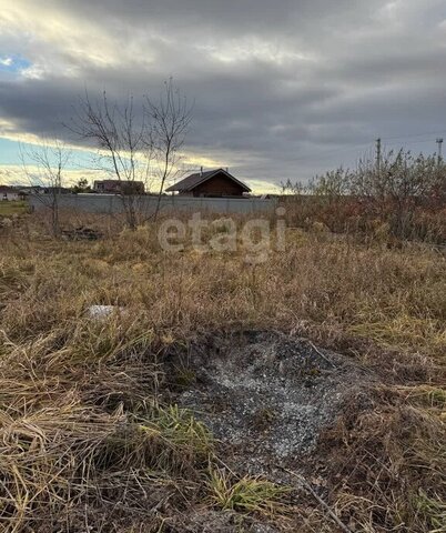 снт Бердь ул Весенняя сельсовет, Мичуринский фото