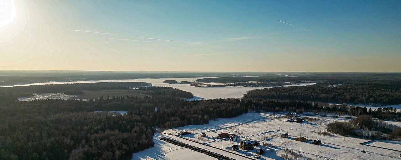 земля городской округ Пушкинский Ельдигинское с/пос фото 4