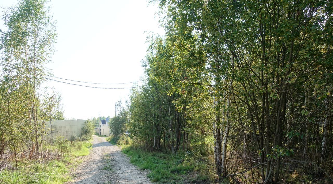 земля городской округ Мытищи д Троице-Сельцо Лобня фото 2