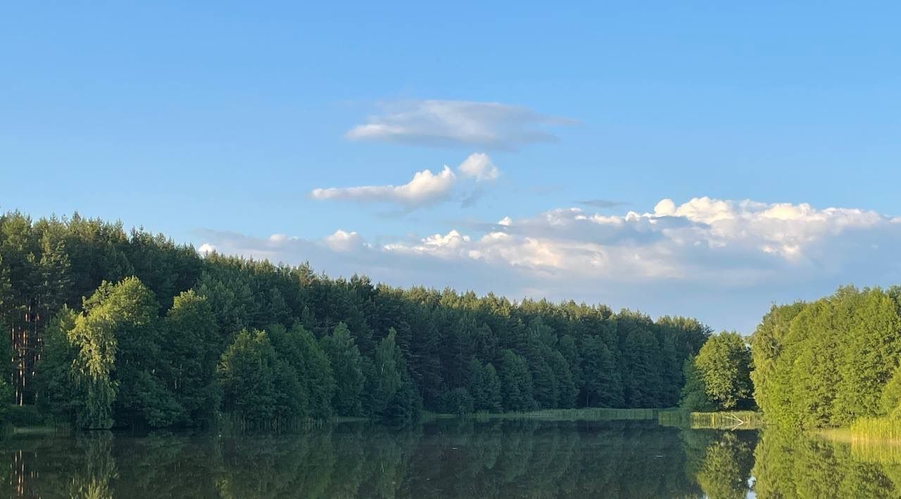 земля р-н Дальнеконстантиновский фото 4