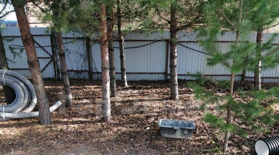 дом городской округ Раменский с Речицы ул Дачная 87 Раменское фото 6