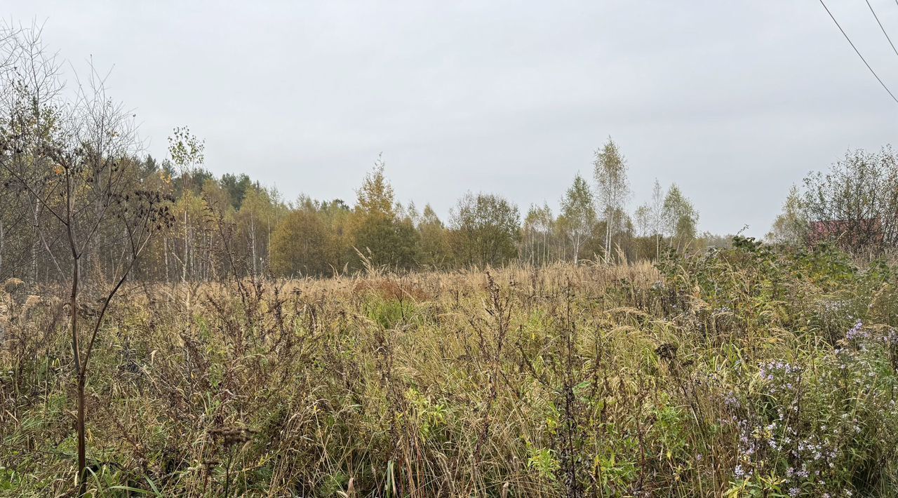 земля городской округ Чехов с Ивановское фото 3