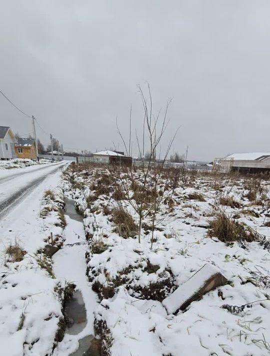 земля городской округ Чехов с Дубна 16 фото 4