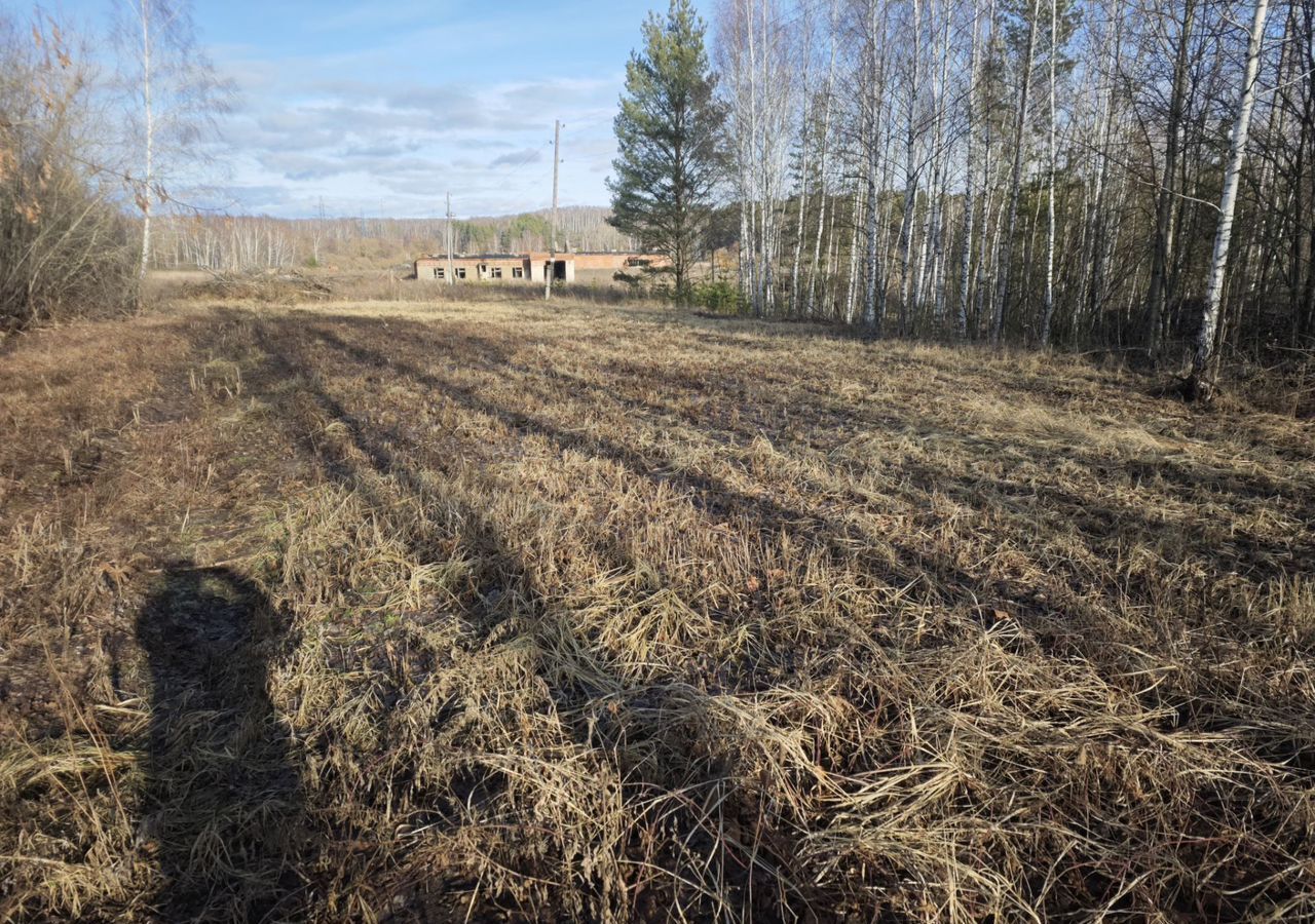 земля направление Казанское (юго-восток) ш Новорязанское 116 км, Зарайск фото 2