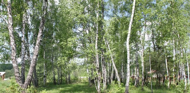 земля городской округ Чехов д Поповка Финская деревня кп фото 5