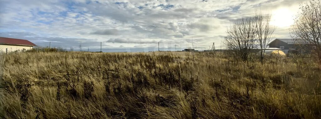 земля городской округ Дмитровский посёлок совхоза Будённовец фото 1