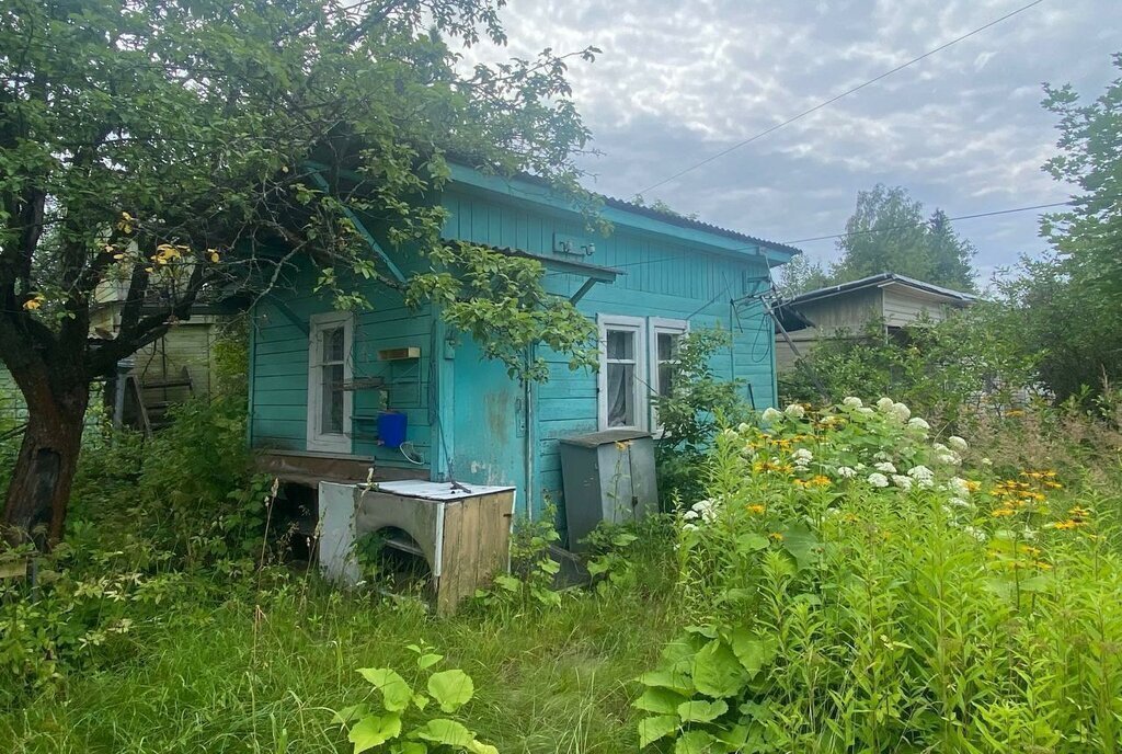 земля городской округ Богородский г Ногинск снт тер.Алешинские сады фото 1