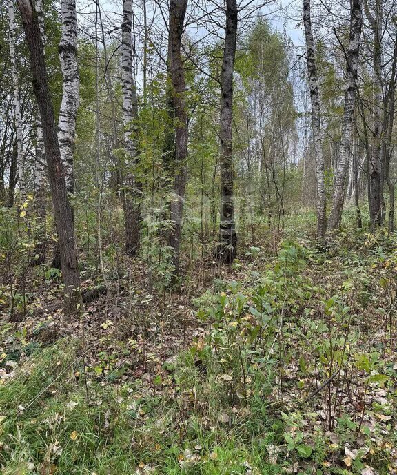 дом городской округ Талдомский д Бурцево фото 2