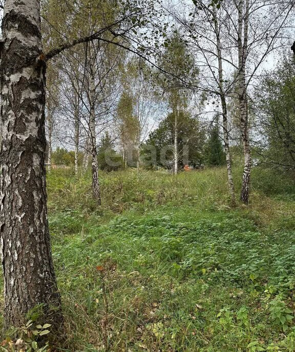 дом городской округ Талдомский д Бурцево фото 7