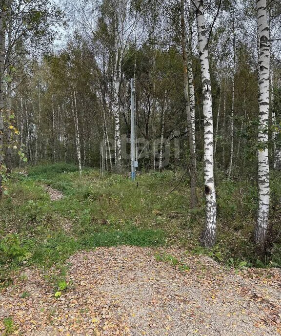 дом городской округ Талдомский д Бурцево фото 6