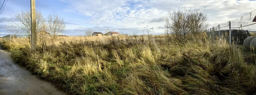 земля городской округ Дмитровский посёлок совхоза Будённовец фото 5