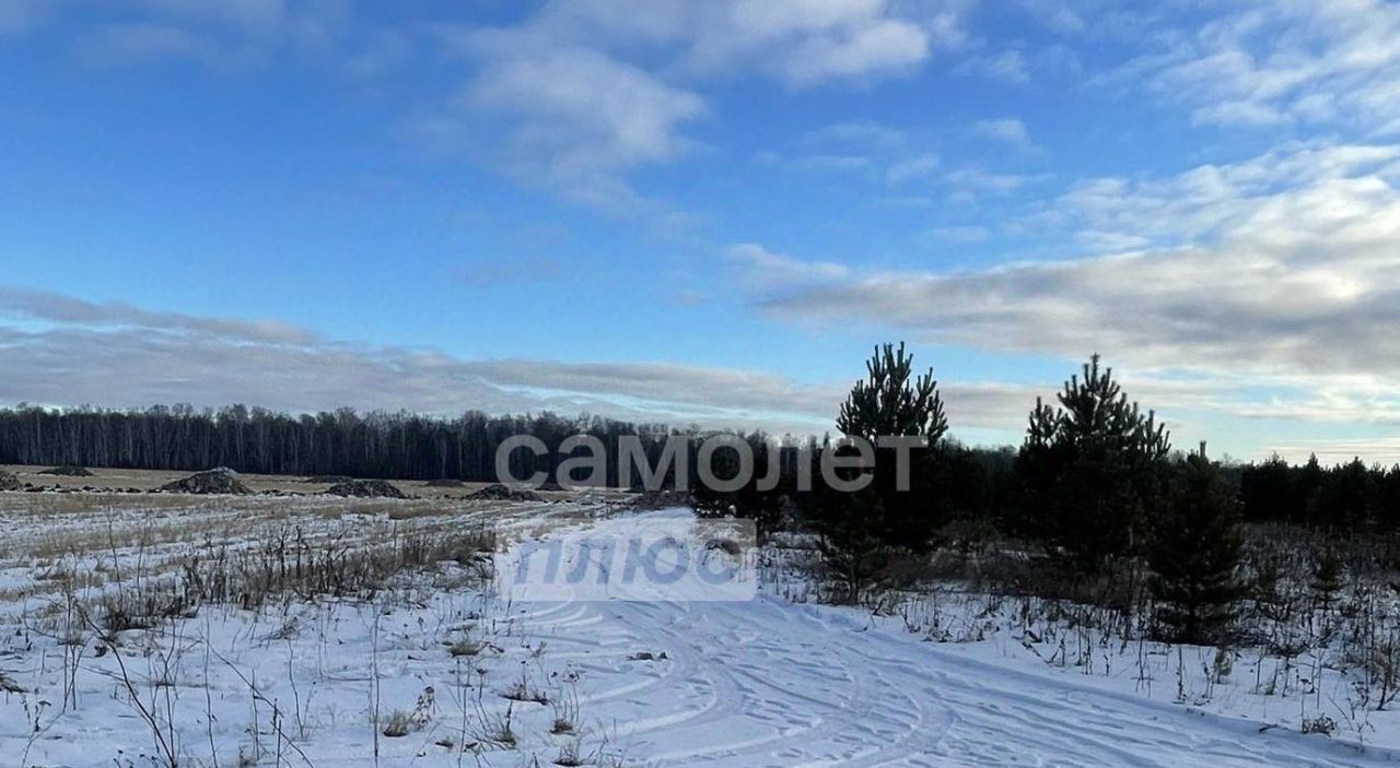 земля р-н Тюменский с Горьковка ул Сибирская фото 12