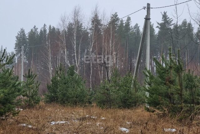 снт тер.Луговое фото