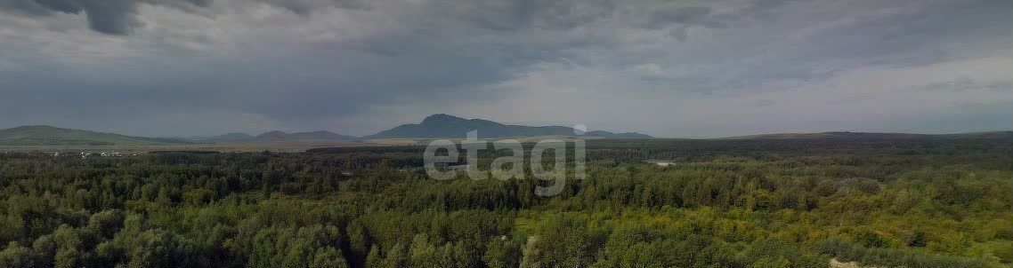 земля р-н Советский Платовский сельсовет, Республика Алтай, Майма фото 4