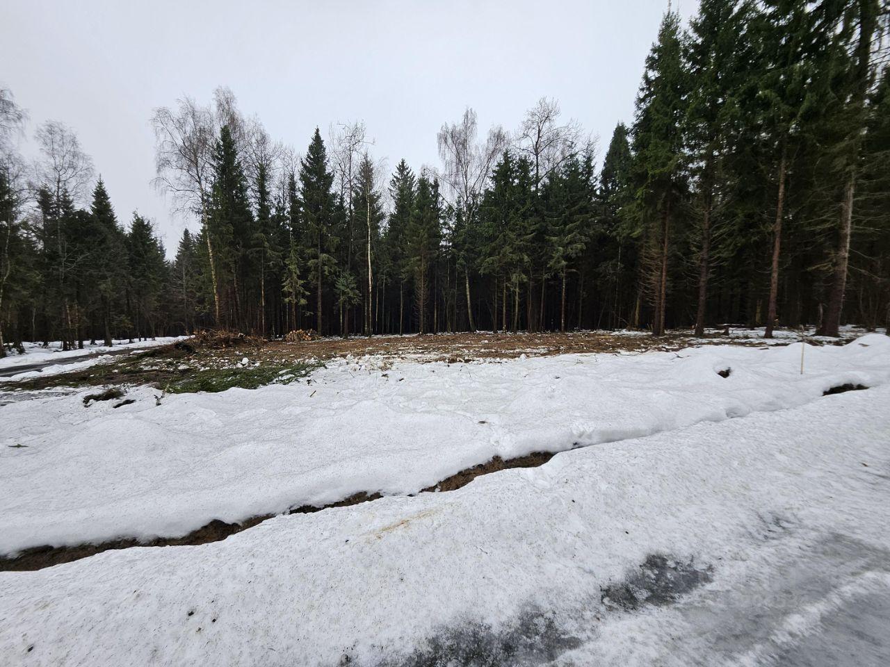 земля городской округ Дмитровский д Свистуха Солнечногорск, Рогачёвское шоссе фото 2