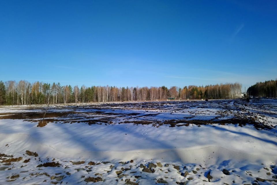 земля г Екатеринбург р-н Чкаловский Екатеринбург, Совушки, муниципальное образование фото 1