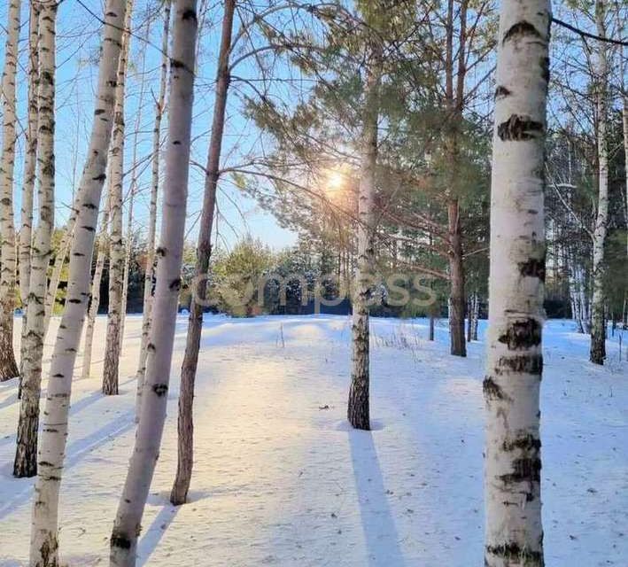 земля р-н Нижнетавдинский с. Тюнево фото 1