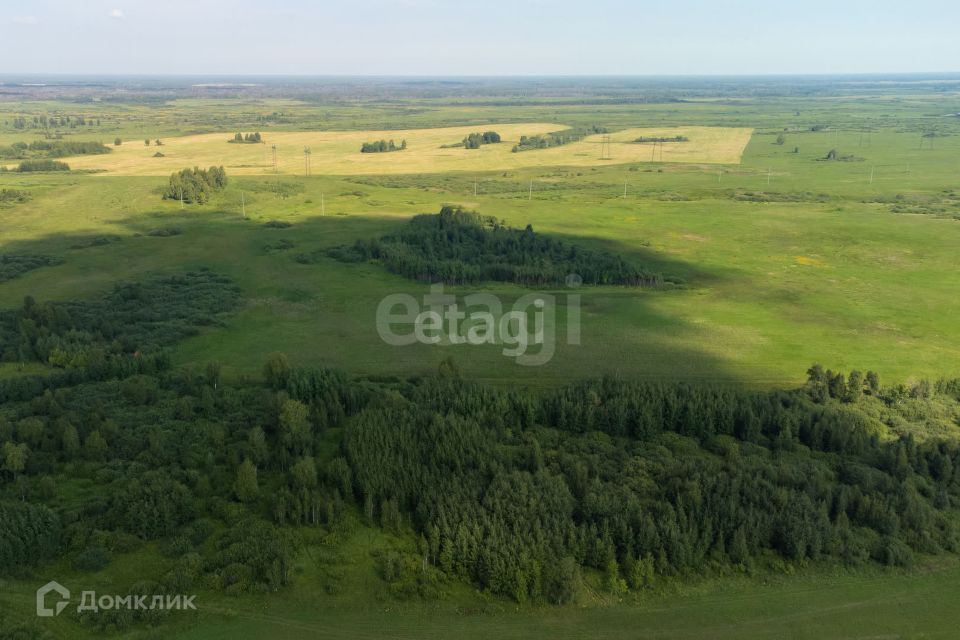 земля р-н Тюменский с. Яр фото 1