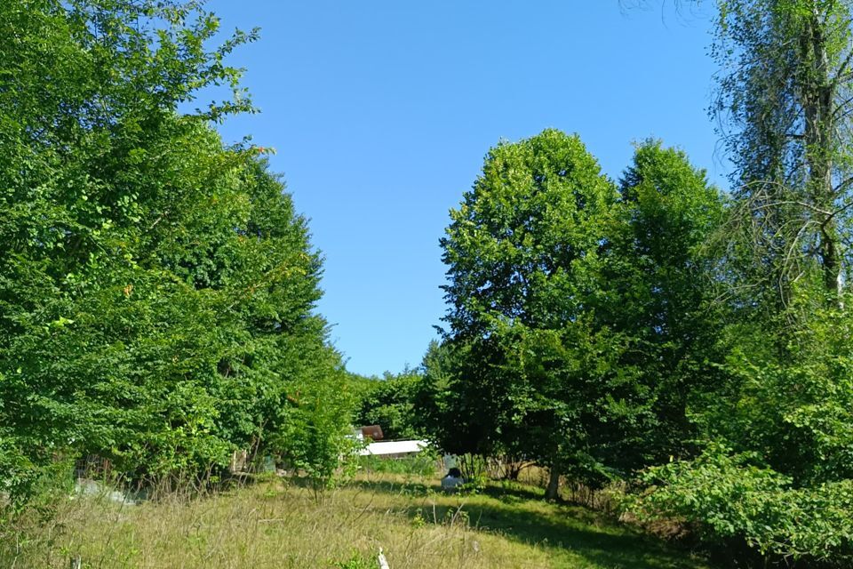 земля г Сочи с Пластунка Сочи городской округ, СТ Лесная даль фото 1