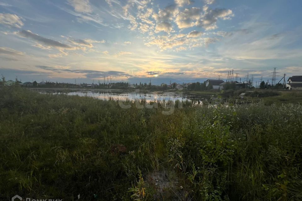 земля г Новый Уренгой Новый Уренгой городской округ, ДНТ Дружба фото 2