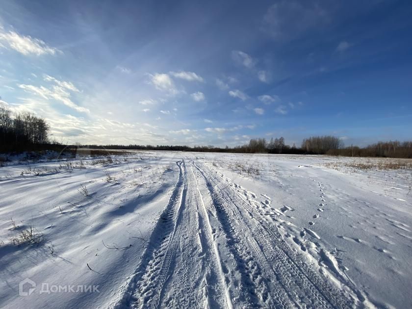 земля р-н Тюменский фото 2