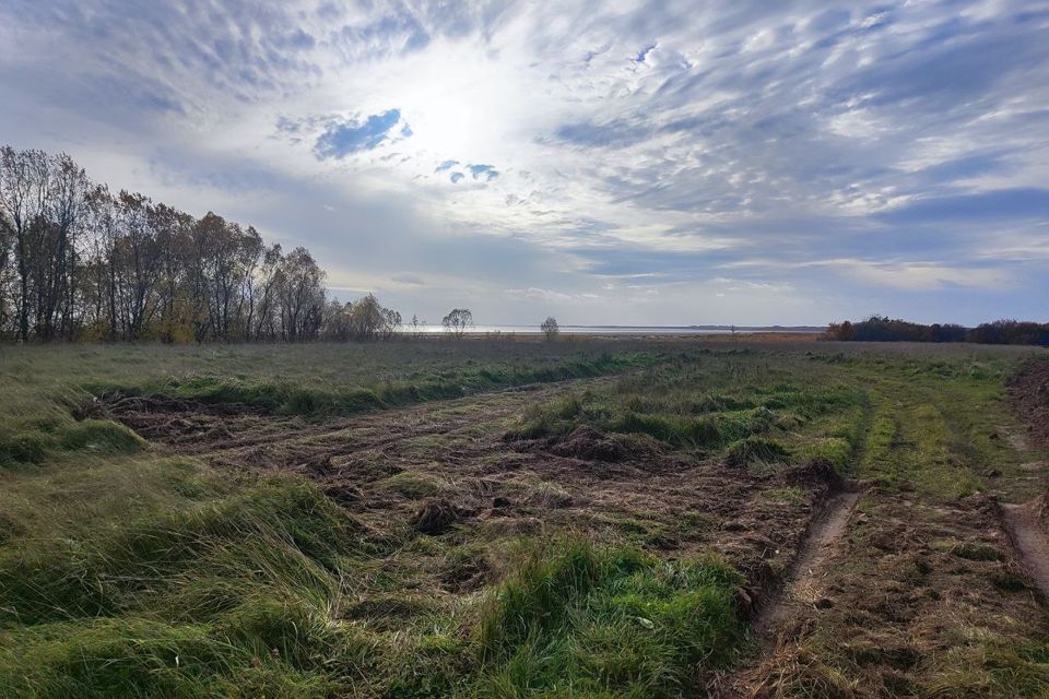 земля р-н Новгородский д. Дубровка Борковское сп фото 4