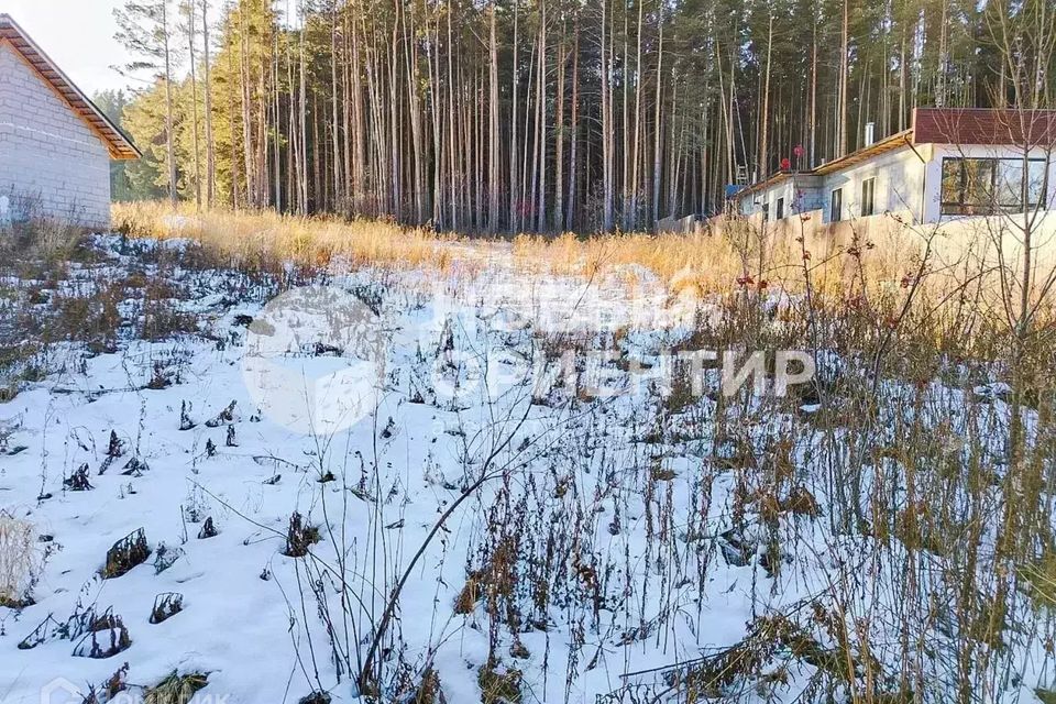 земля р-н Сысертский с Черданцево пер Мирный 24 фото 2