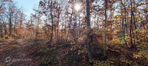 земля г Геленджик Геленджик городской округ, ДНТ Океан фото 2