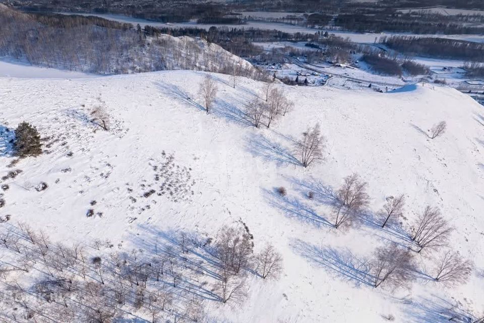 земля р-н Алтайский с. Нижнекаянча фото 2