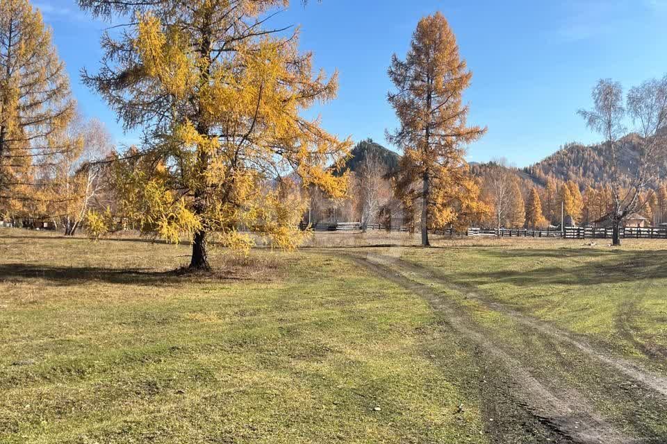 земля р-н Усть-Коксинский п Замульта Зелёная фото 4