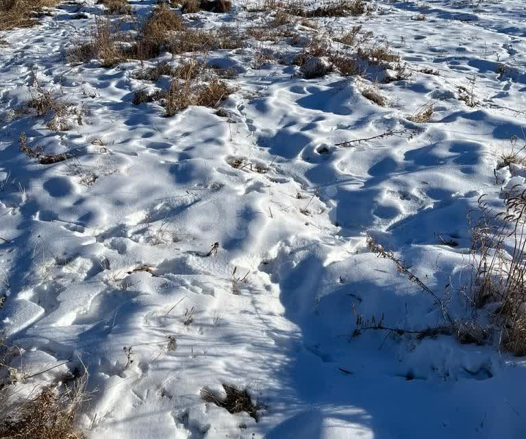 земля г Благовещенск фото 1