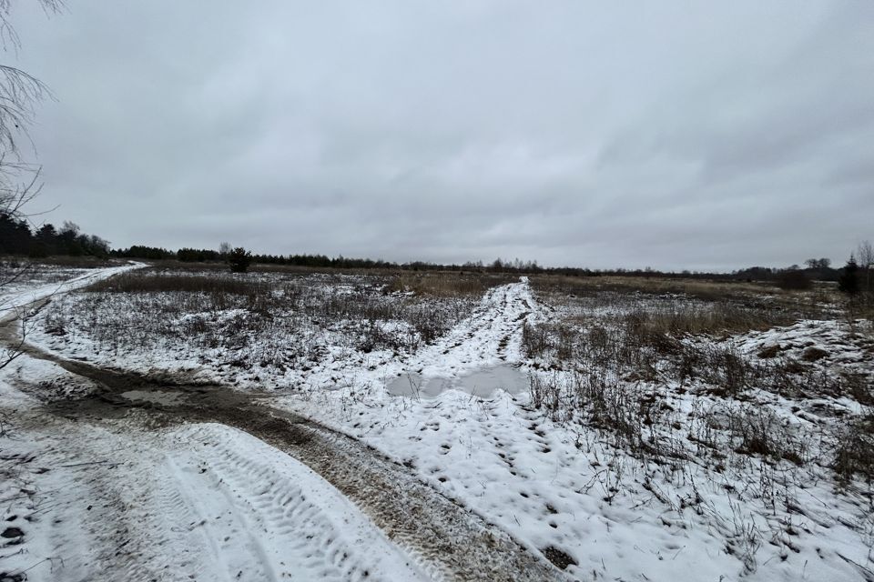 земля р-н Александровский Большое Каринское фото 4