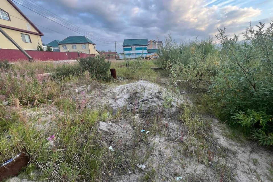 земля г Новый Уренгой Новый Уренгой городской округ, ДНТ Дружба фото 9