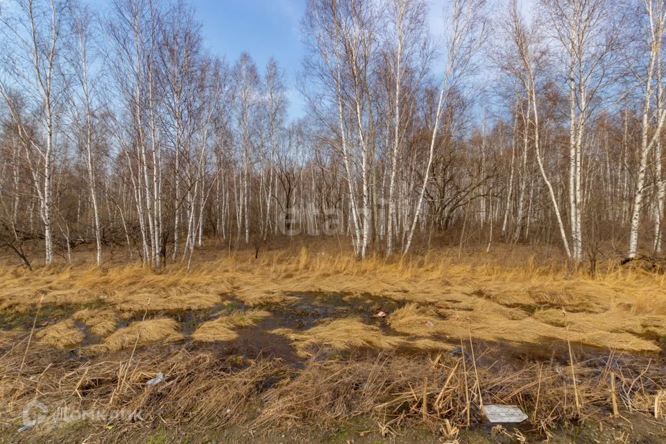 земля р-н Хабаровский с. Восточное фото 3